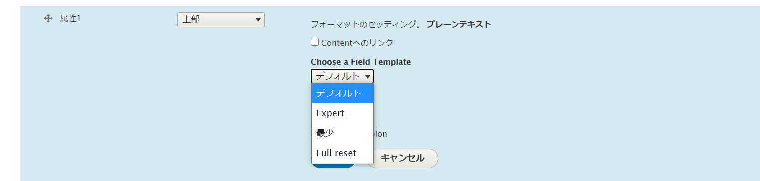 フィールドの詳細設定画面