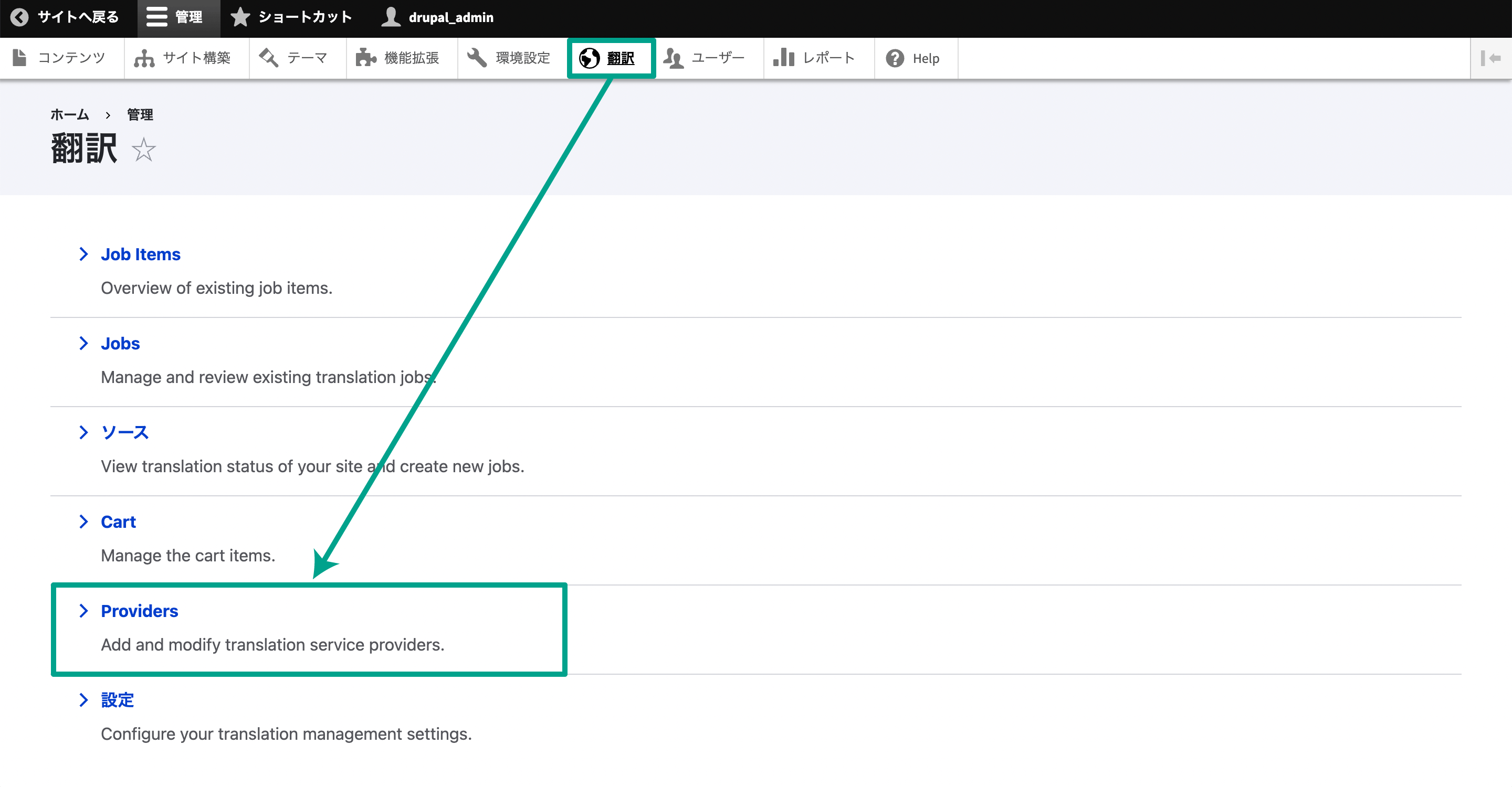 メニューの「翻訳」から「Providers」に移動。