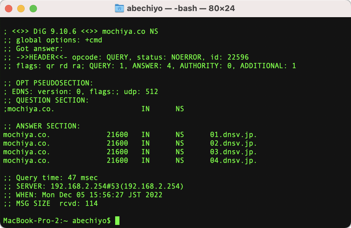 次のコマンドを入力。「dig mochiya.co NS」。ANSWER SECTIONに「01.dnsv.jp、・・・」の結果が出力されたのでお名前.comを使用していることがわかる。