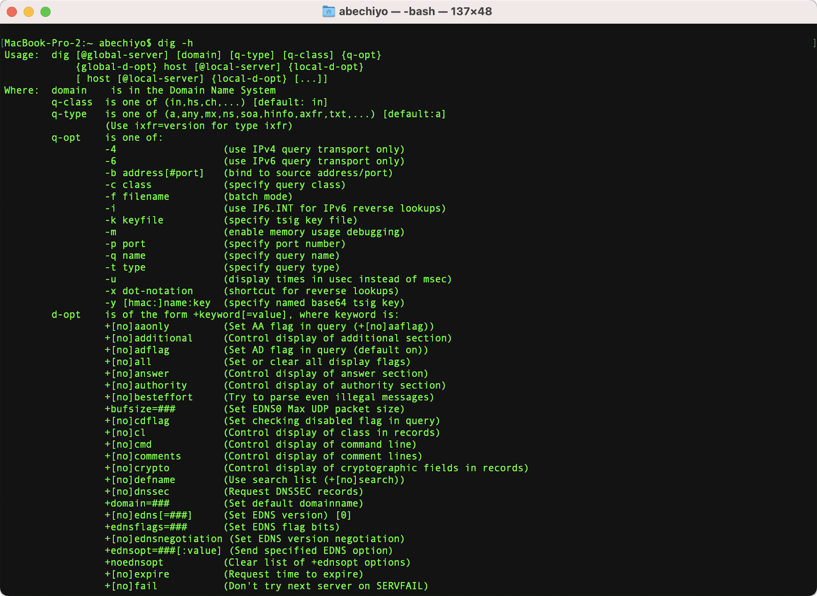 次のコマンドを入力。「dig -h」。使用できるオプションを確認できる。
