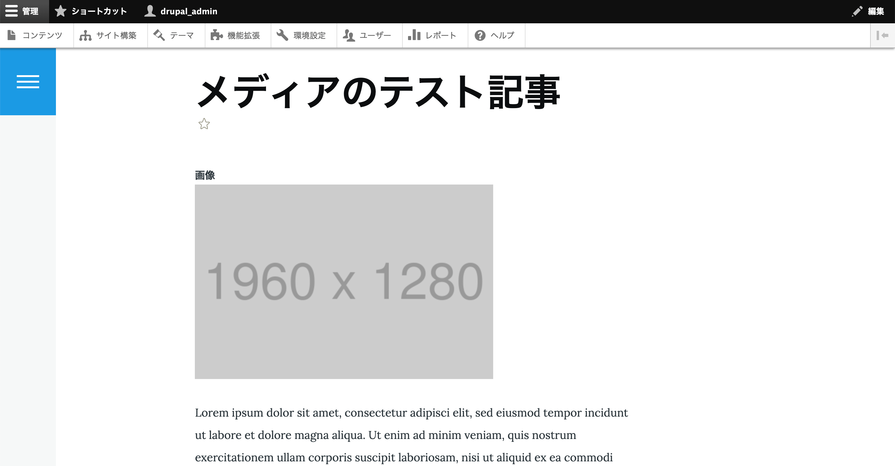 投稿した記事の表示確認。アップロードした画像ファイルの表示が確認できる。