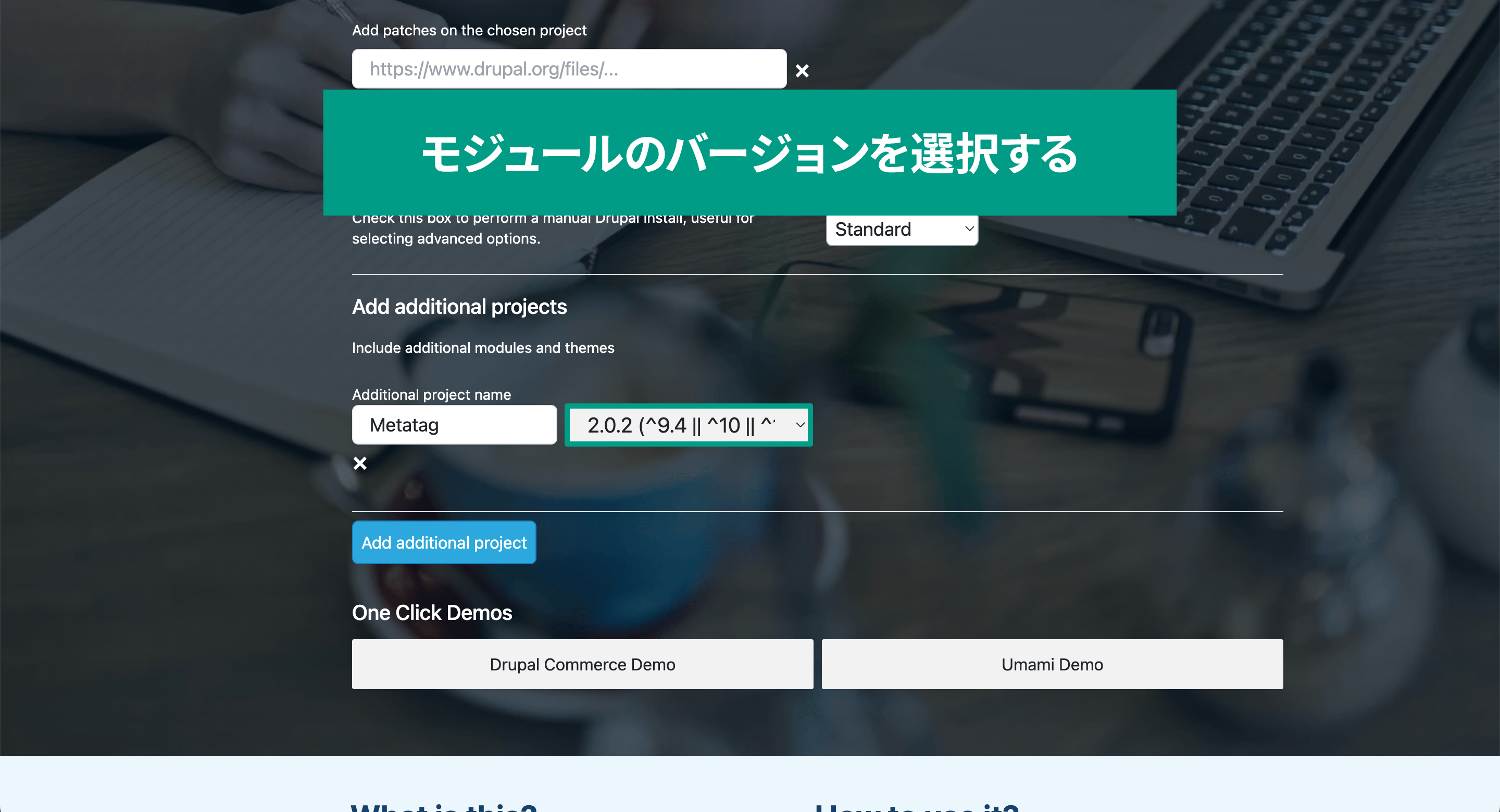 スクリーンショット　モジュールのバージョンを選択している